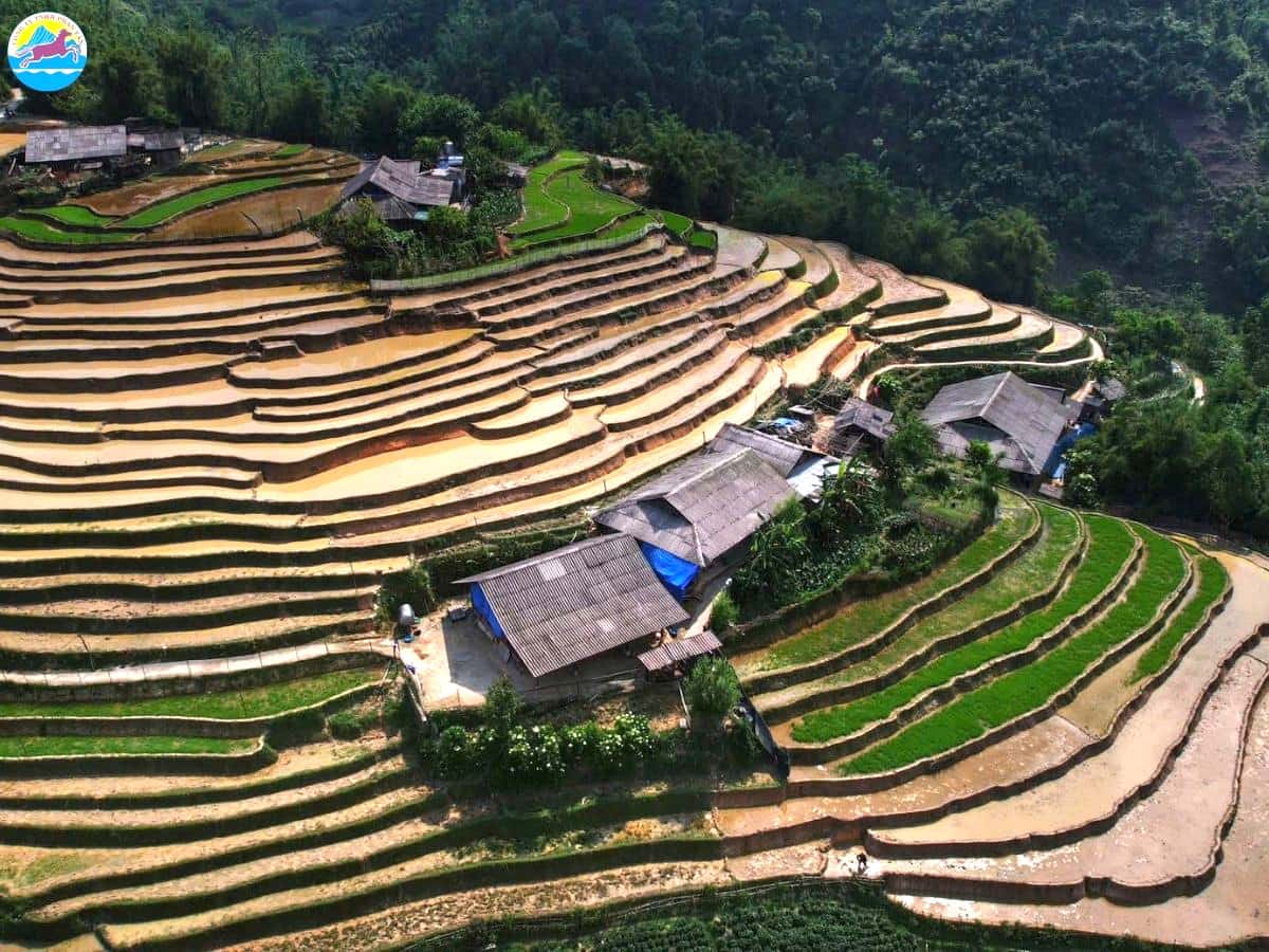 địa điểm du lịch tháng 3 miền bắc