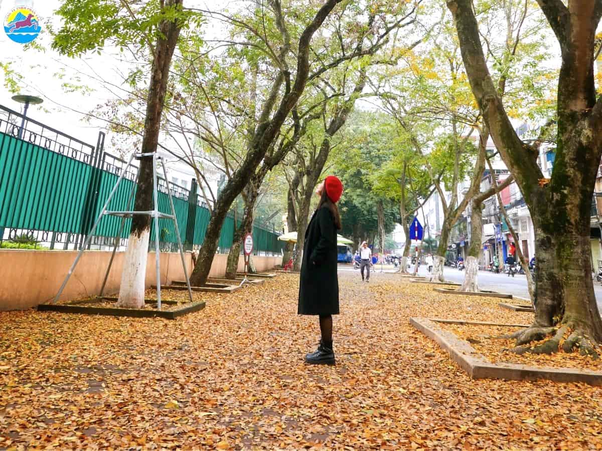 địa điểm du lịch tháng 3 miền bắc