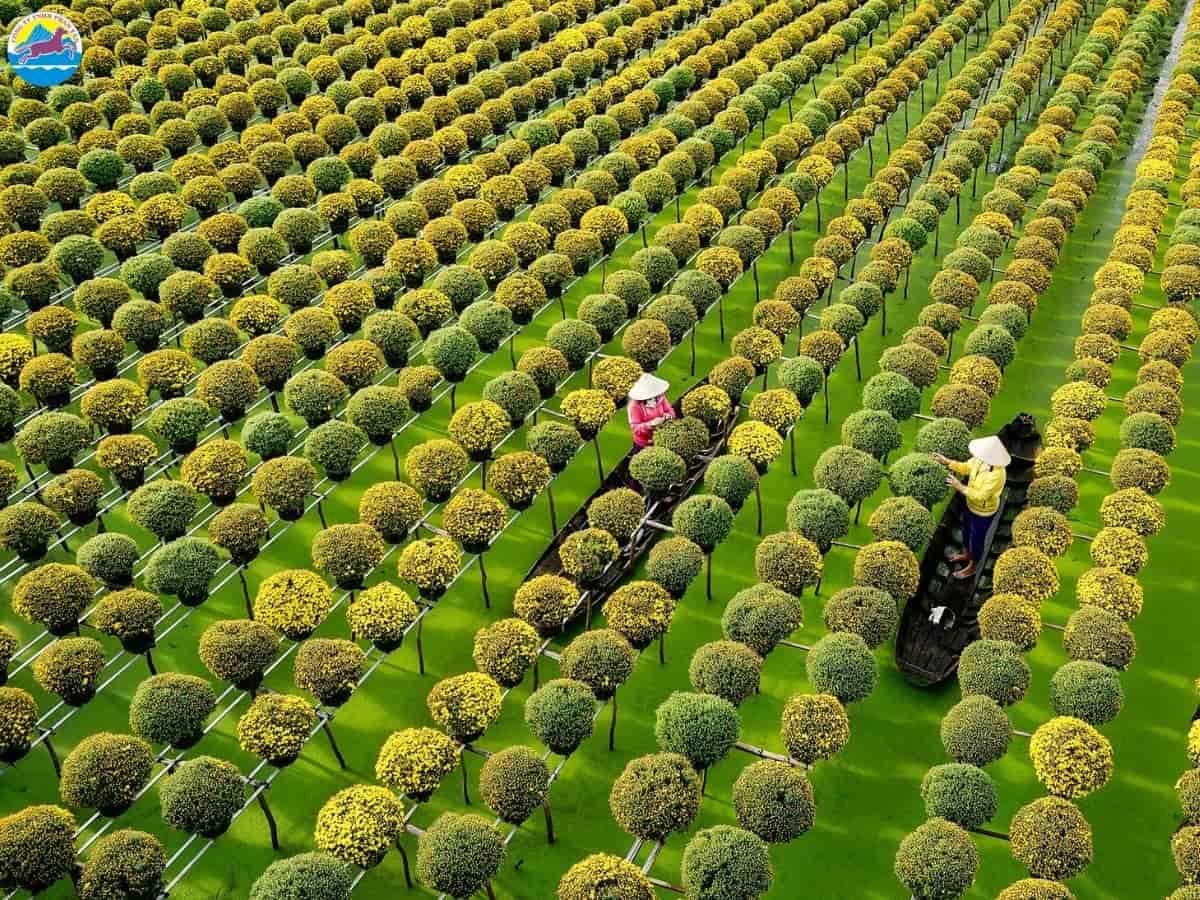 tháng 3 nên đi du lịch ở đâu miền nam​