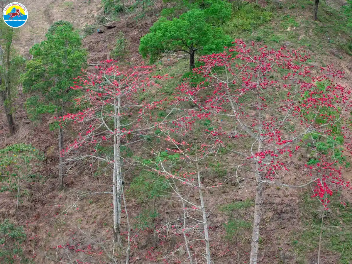 hà giang tháng 4​
