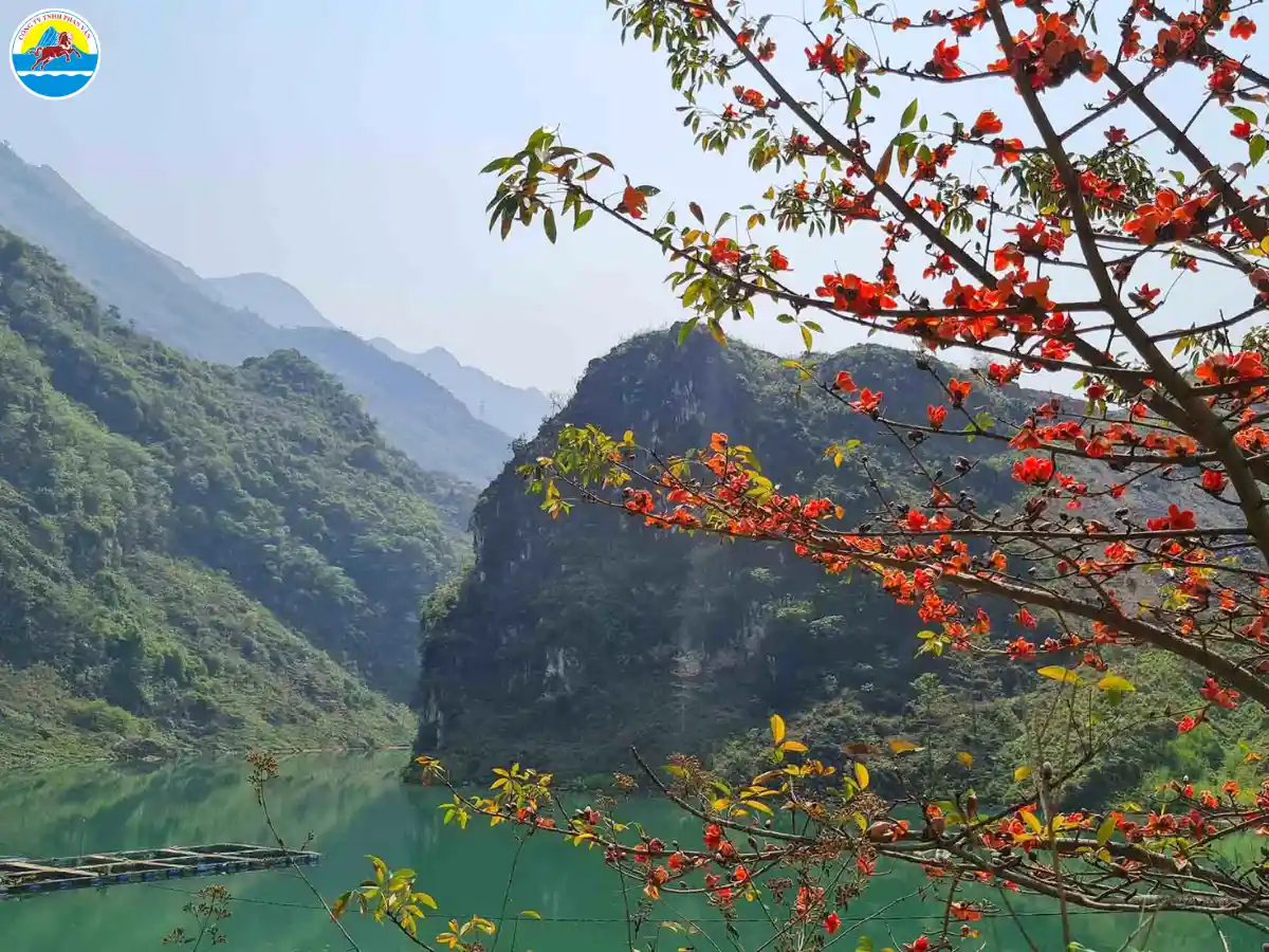 hà giang tháng 4 có gì đẹp​