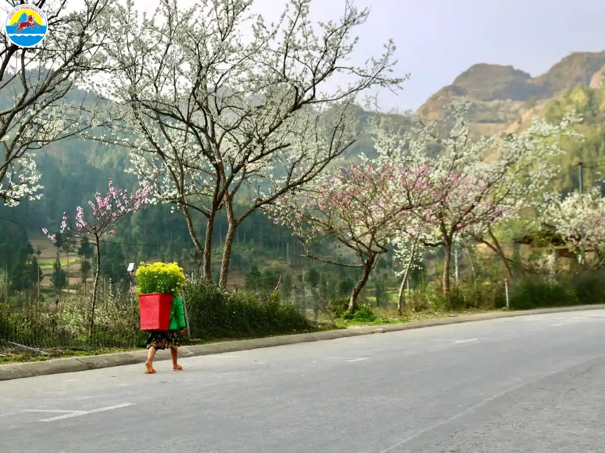hà giang tháng 4​