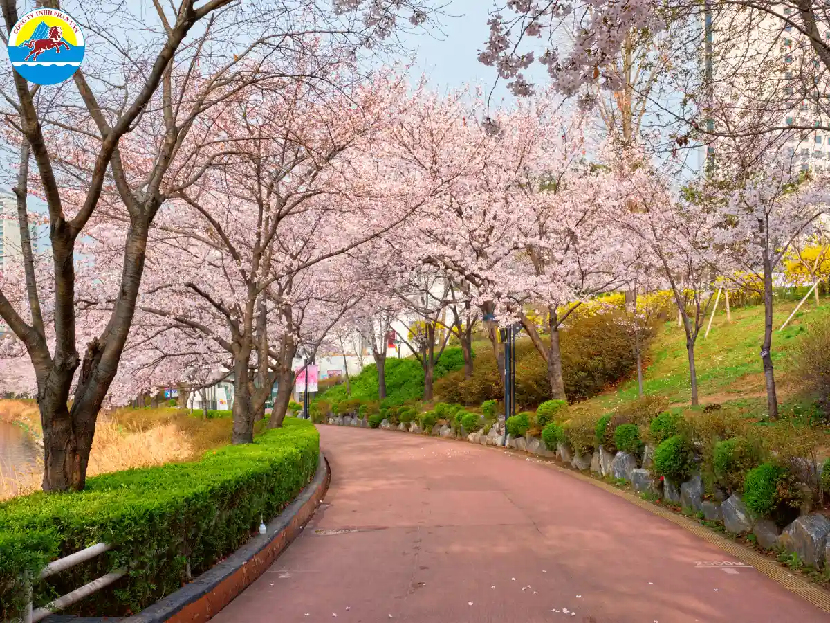 Hồ Seokchon, Seoul