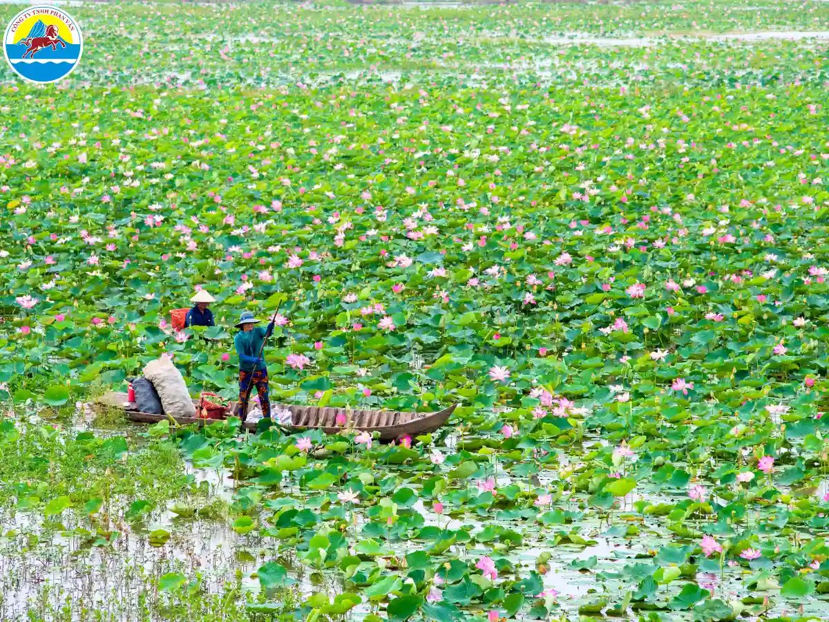 tháng 4 nên đi du lịch ở đâu miền nam