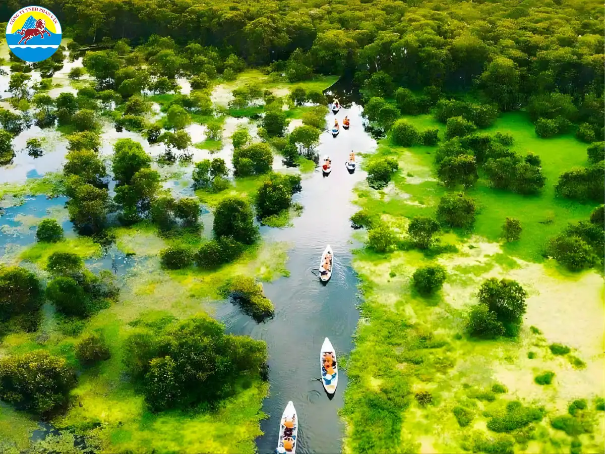 Rừng tràm Trà Sư