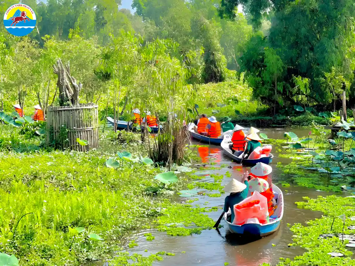 Đi xuồng ba lá xuyên Rừng tràm Trà Sư