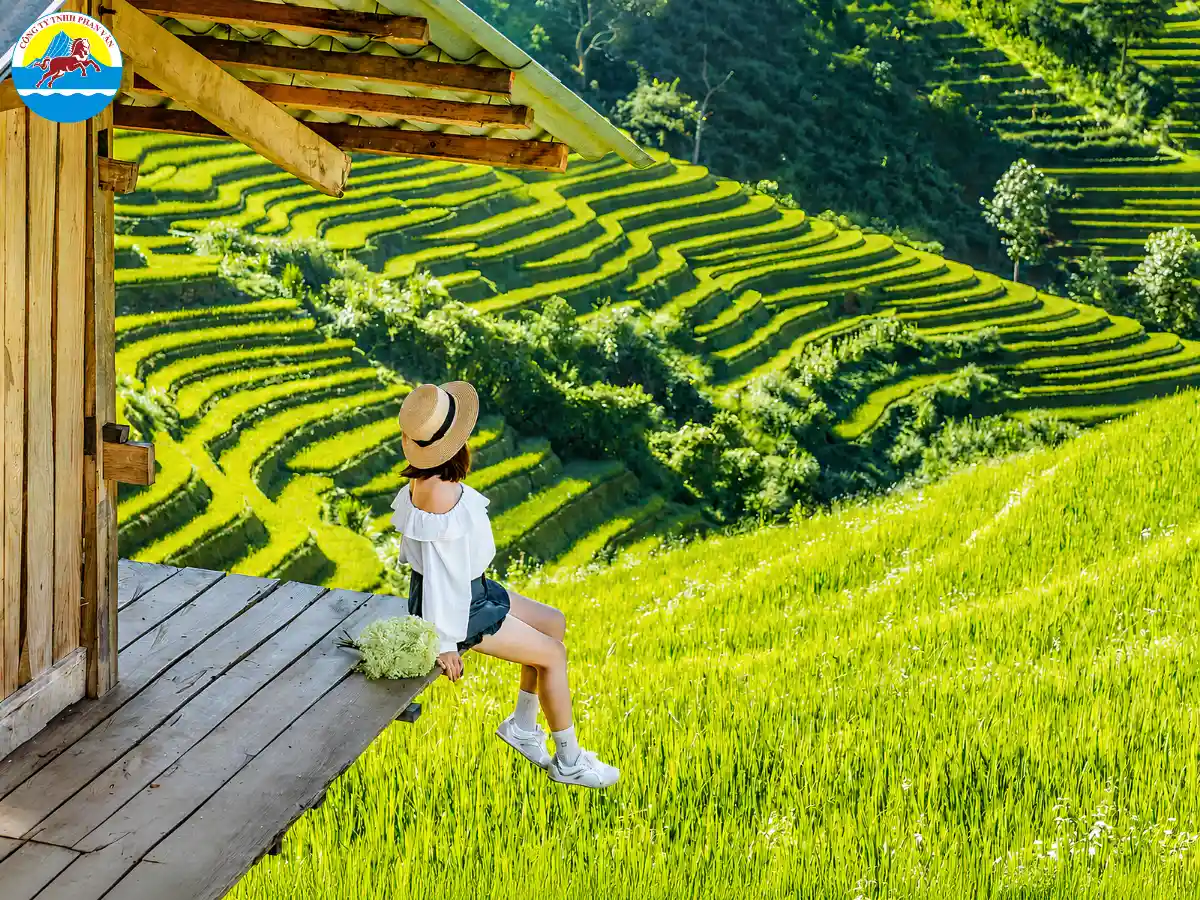 tháng 8 nên đi du lịch ở đâu