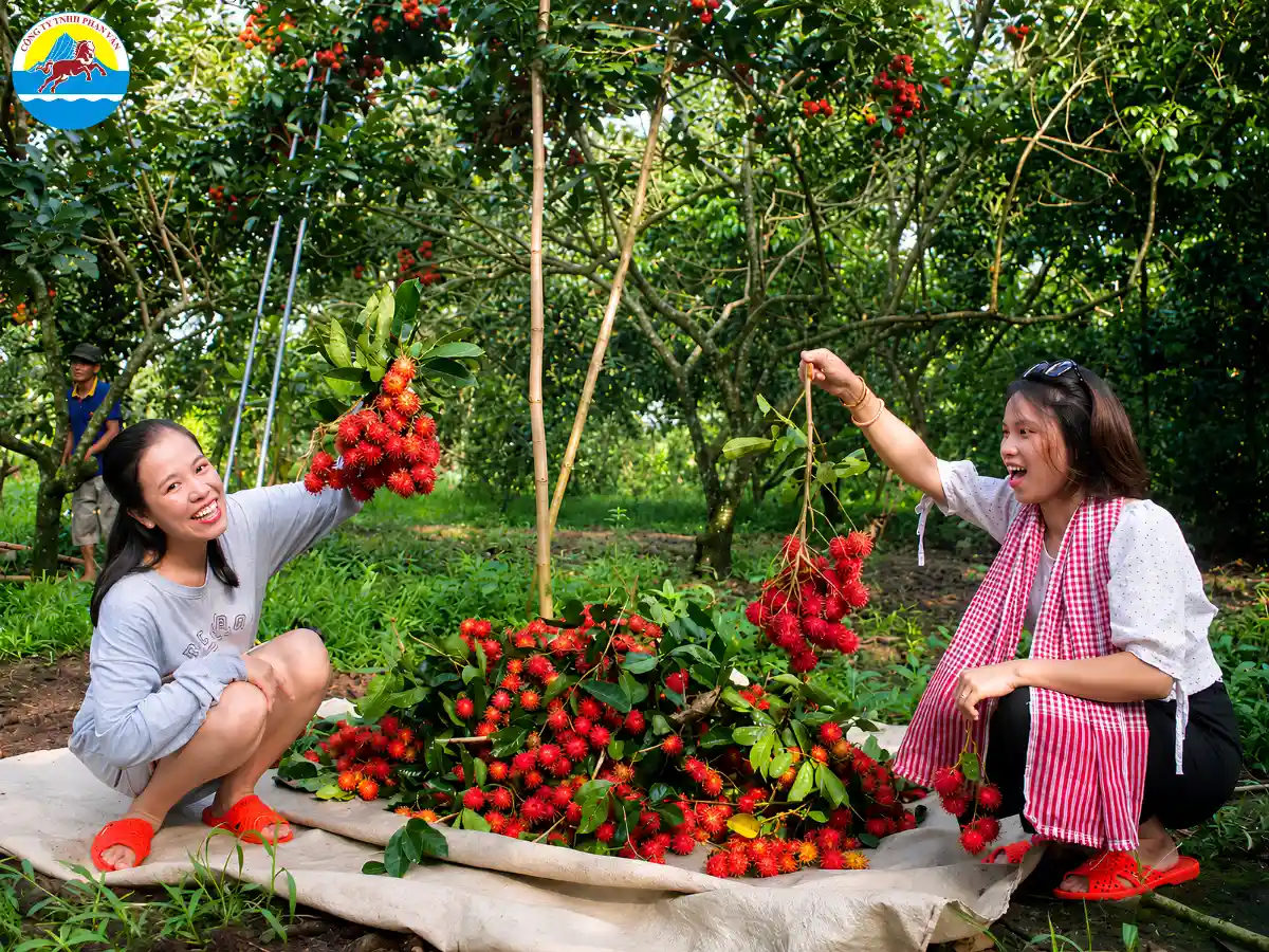 tháng 8 nên đi du lịch ở đâu