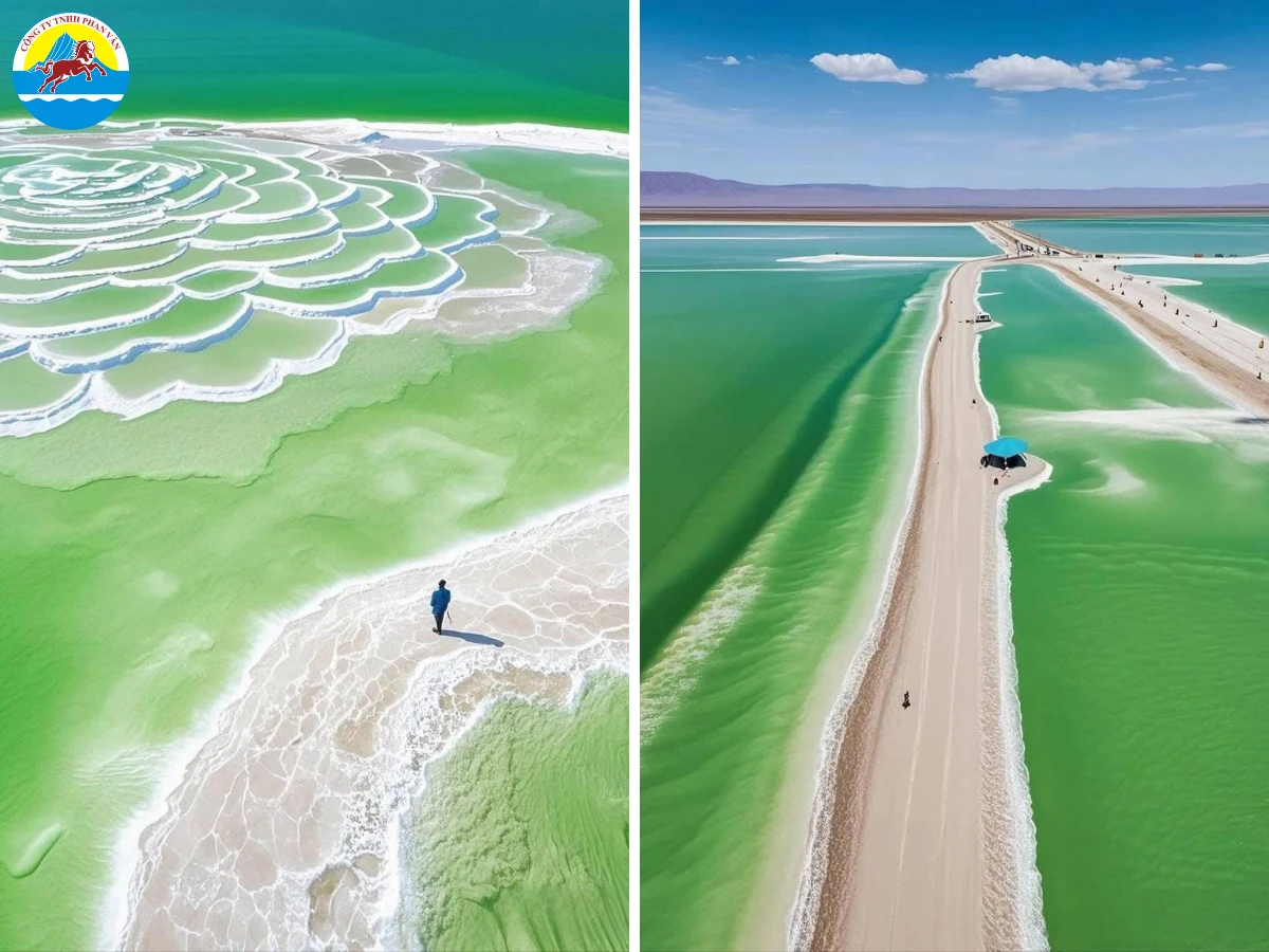 Giải pháp tour chuyên nghiệp cùng Phan Văn Travel