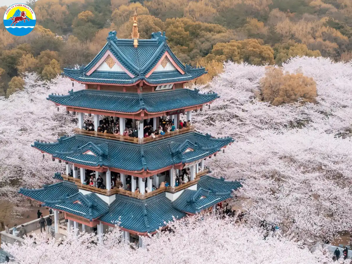 Các tour được Phan Văn Travel thiết kế khoa học