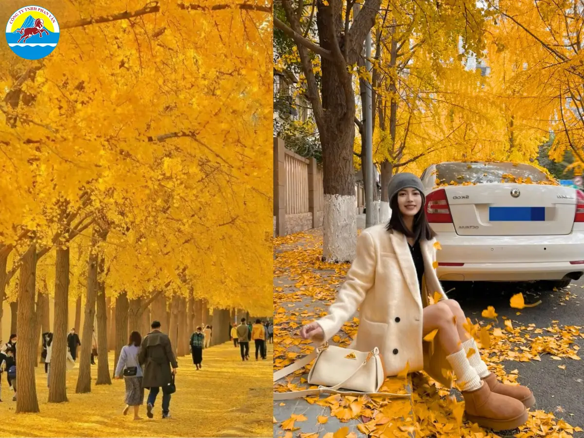 Miền Đông tháng 10 ấm áp và dễ chịu hơn miền Bắc