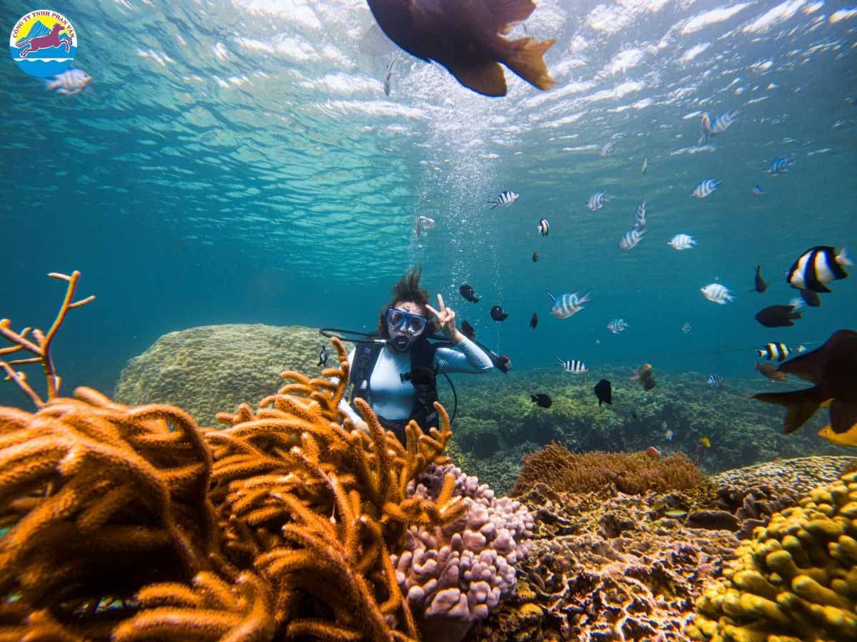 Trải nghiệm lặn ngắm san hô