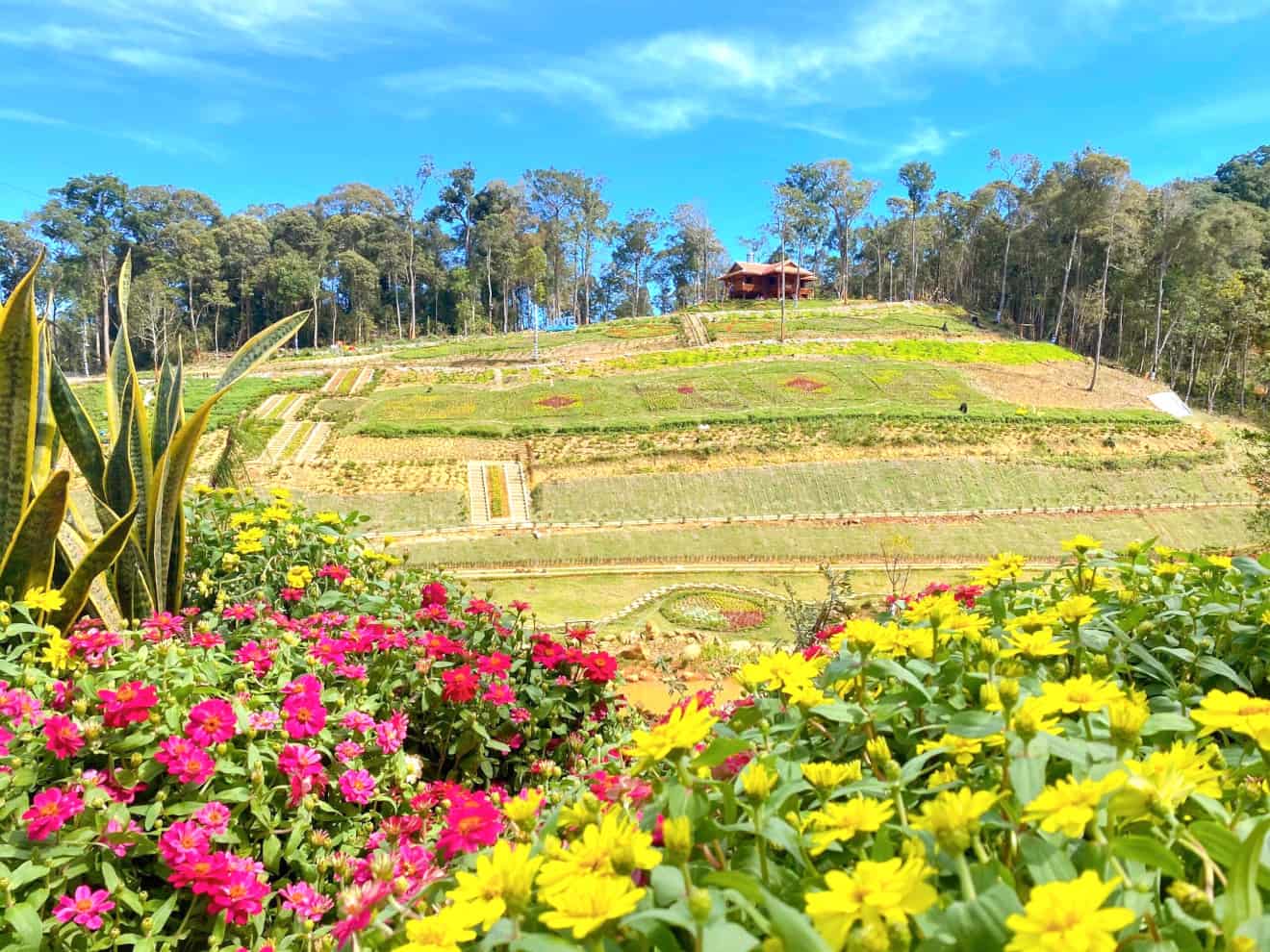 Thuê Xe Du Lịch 47 Chỗ Đà Nẵng Đi Măng Đen