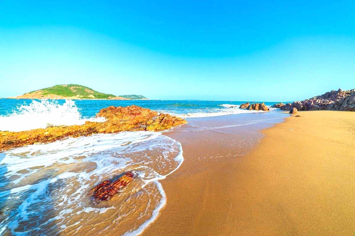 Bãi Xếp Quy Nhơn