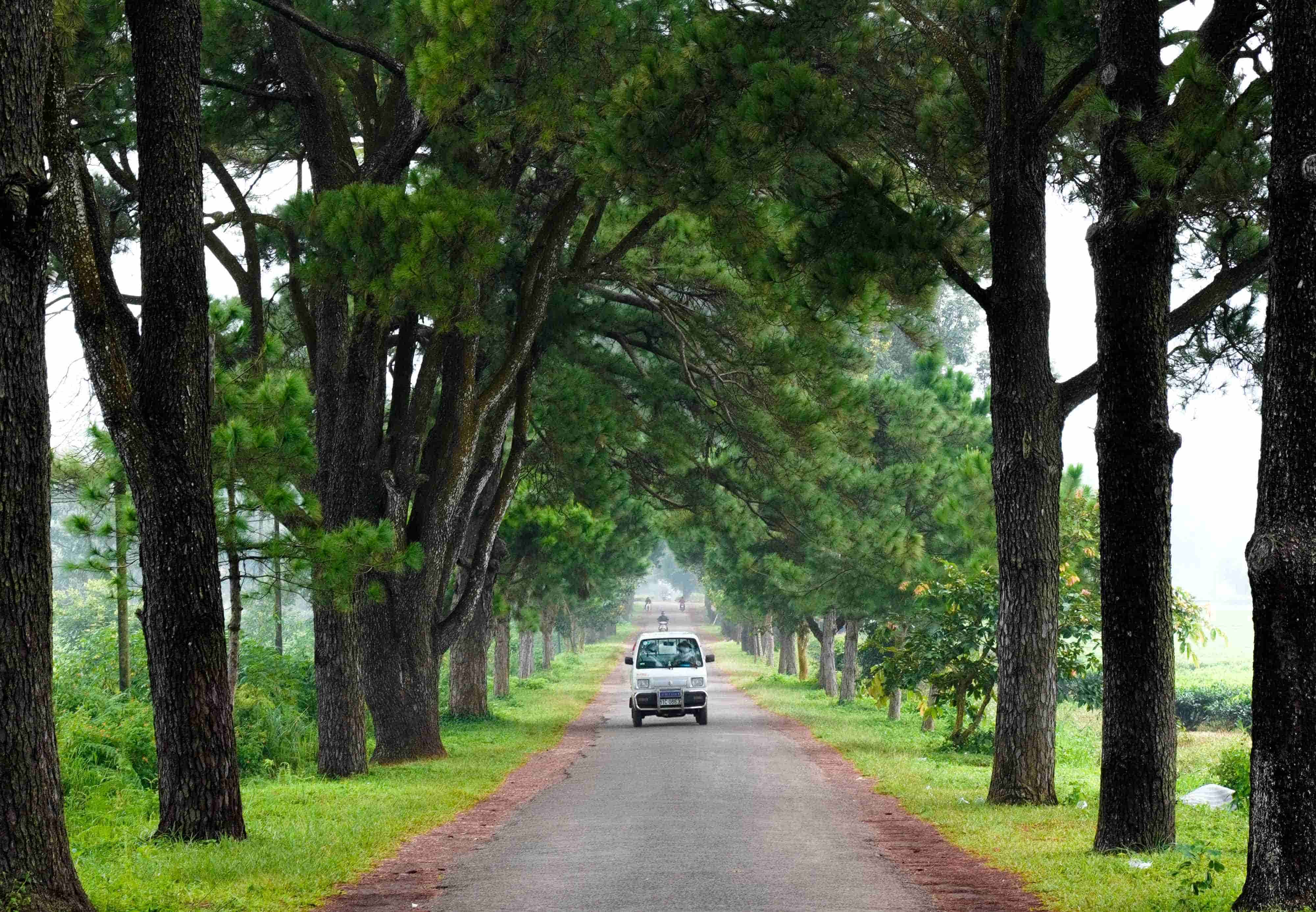 Thuê xe limousine 24 chỗ tuyến Đà Nẵng - Pleiku