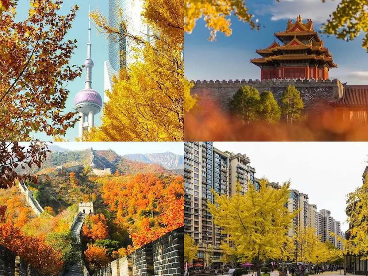 Thượng Hải mùa Thu