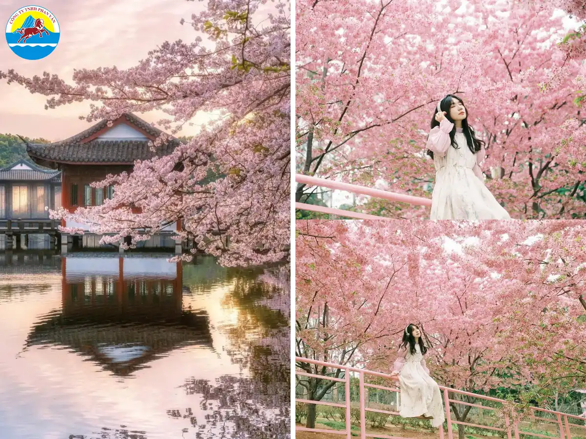 Phan Văn Travel là công ty lữ hành tổ chức các hành trình Trung Quốc chất lượng cao