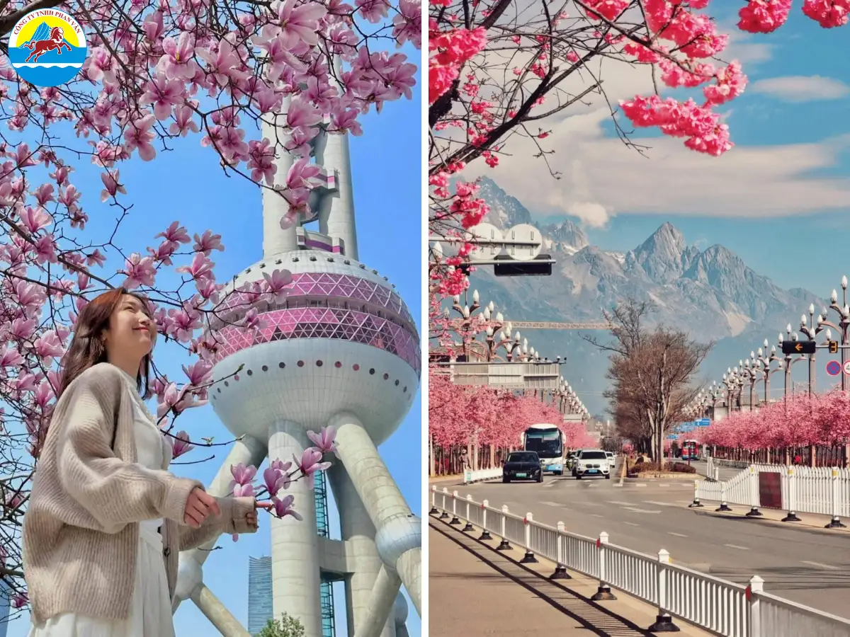 Lên kế hoạch và di chuyển chi tiết