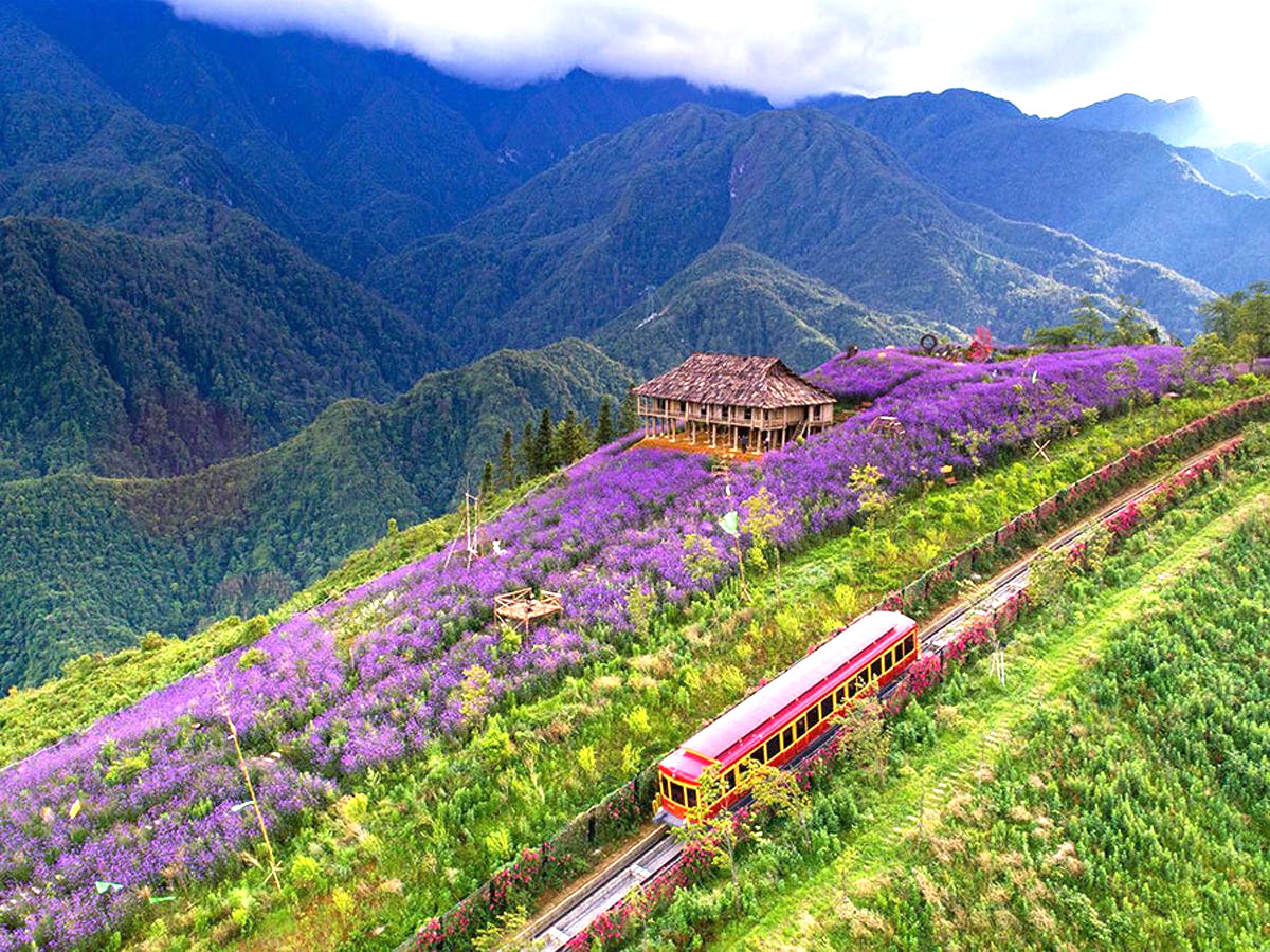 top-7-dia-diem-du-lich-sapa-dep-truy-tim-khong-the-bo-lo-phan-van-travel-4