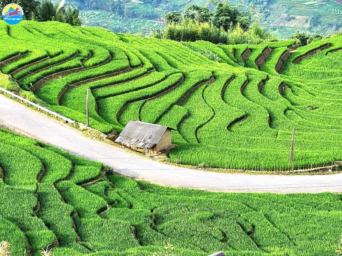 du lịch miền bắc tháng 2