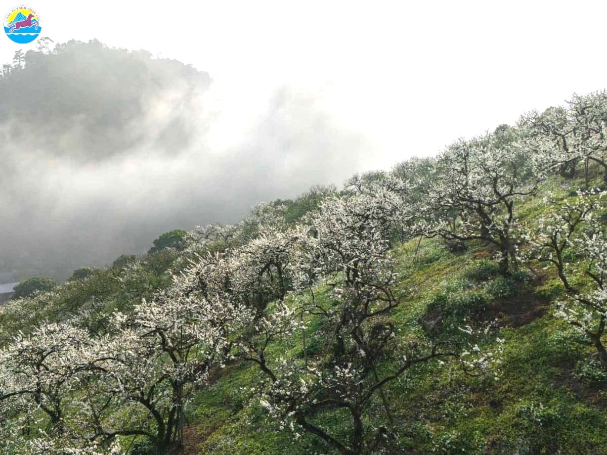 du lịch miền bắc tháng 2​