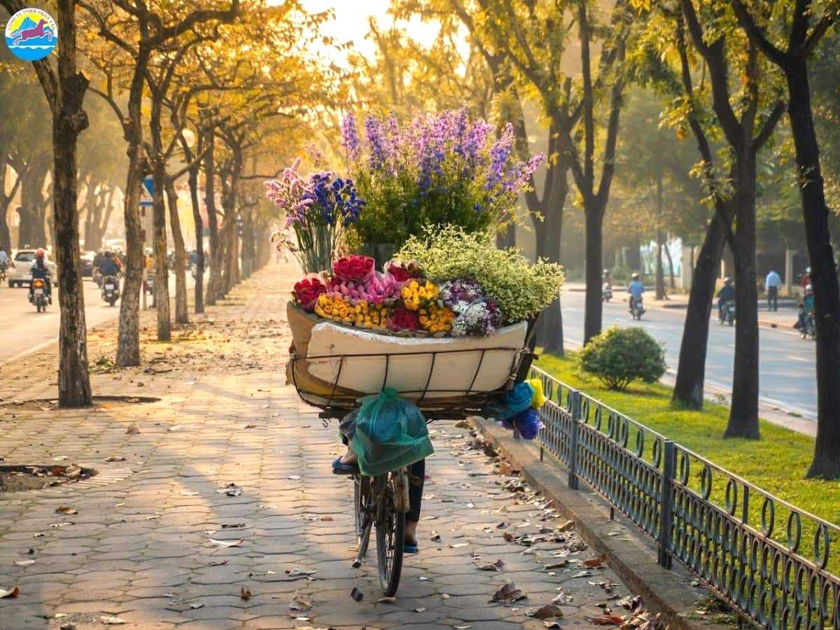 du lịch miền bắc tháng 2