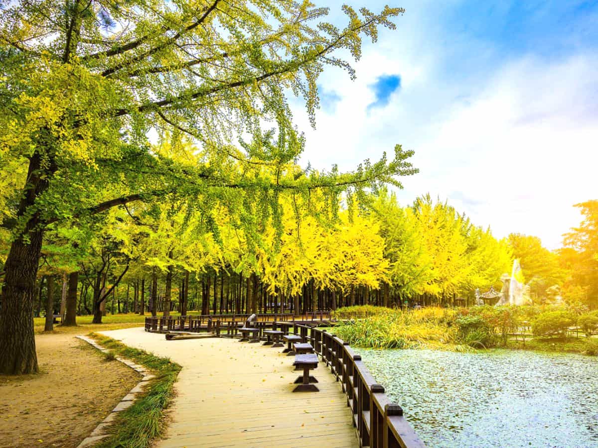 tour du lịch nước ngoài 2/9