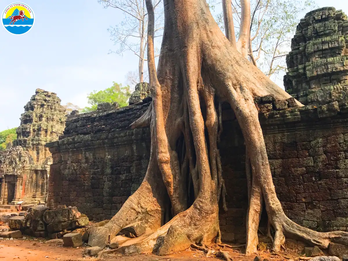 tour campuchia 3 ngày 3 đêm