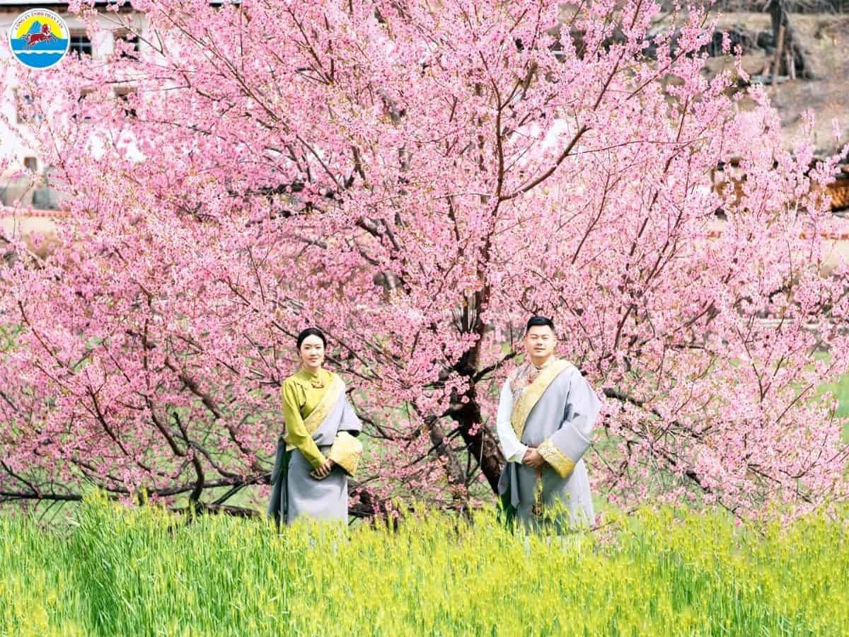 tour du lịch côn minh lệ giang shangrila