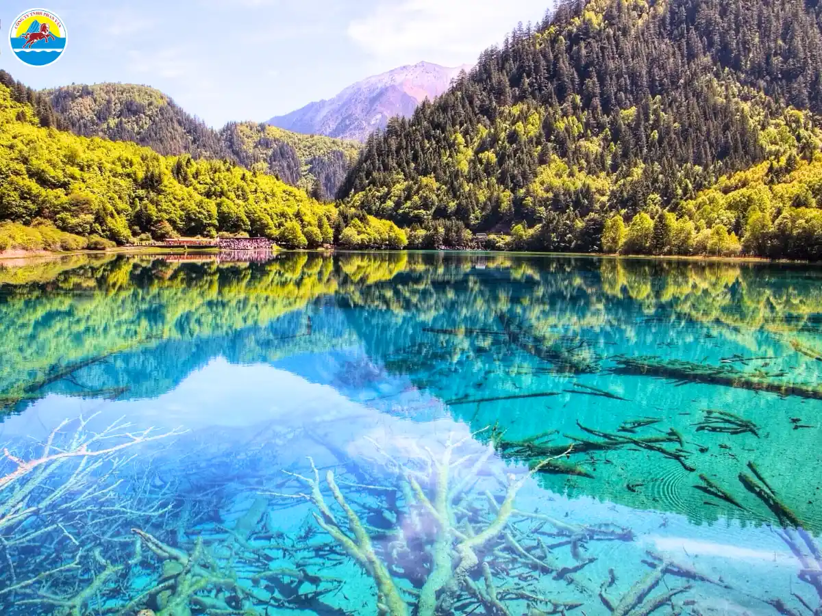 tour cửu trại câu từ đà nẵng​