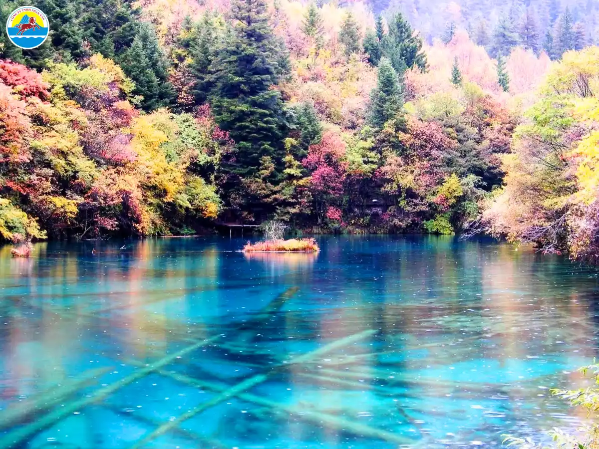 tour cửu trại câu giá rẻ