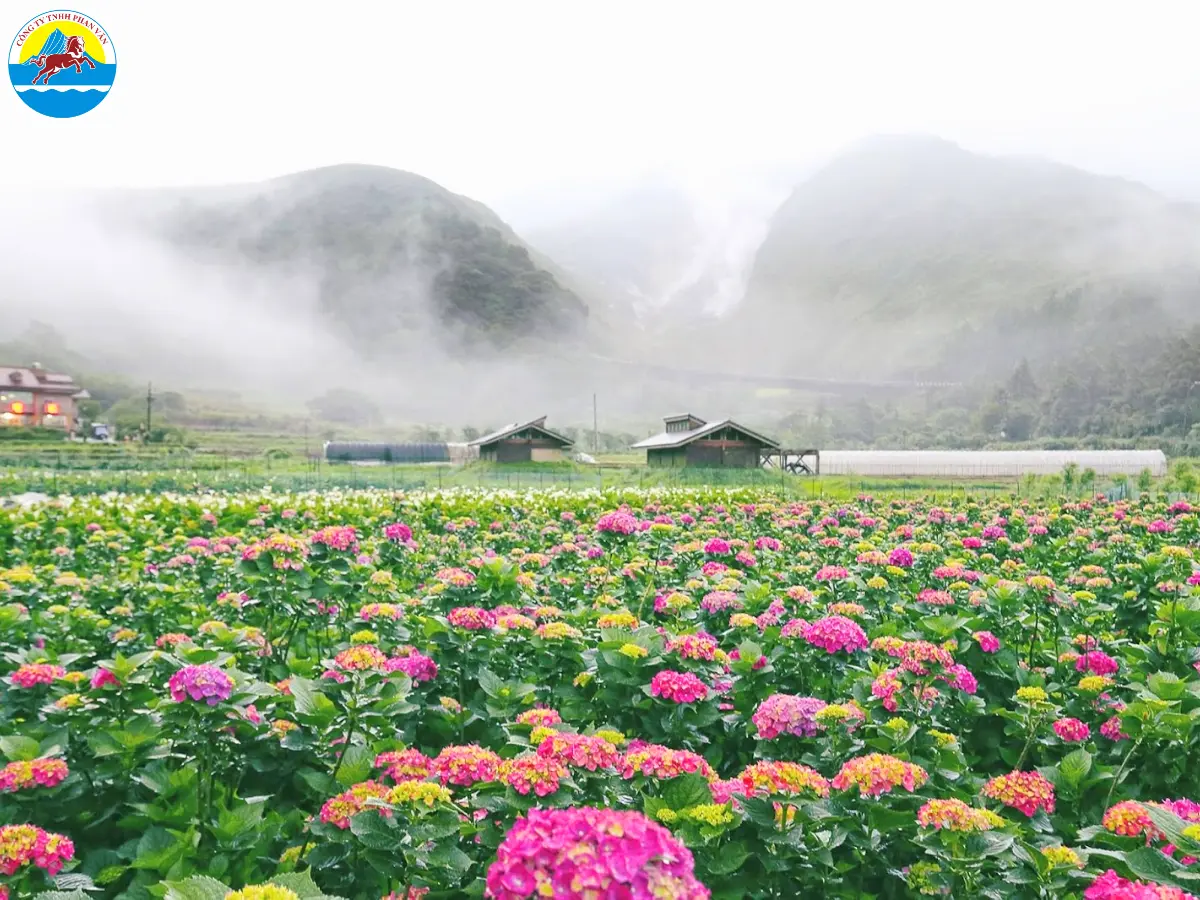 tour đi đài loan 3 ngày 2 đêm