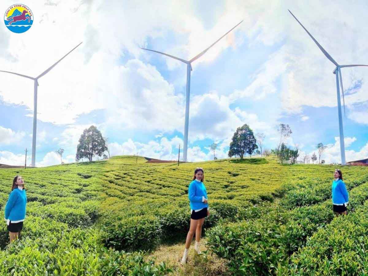 Chill giữa “trời” Đà Lạt