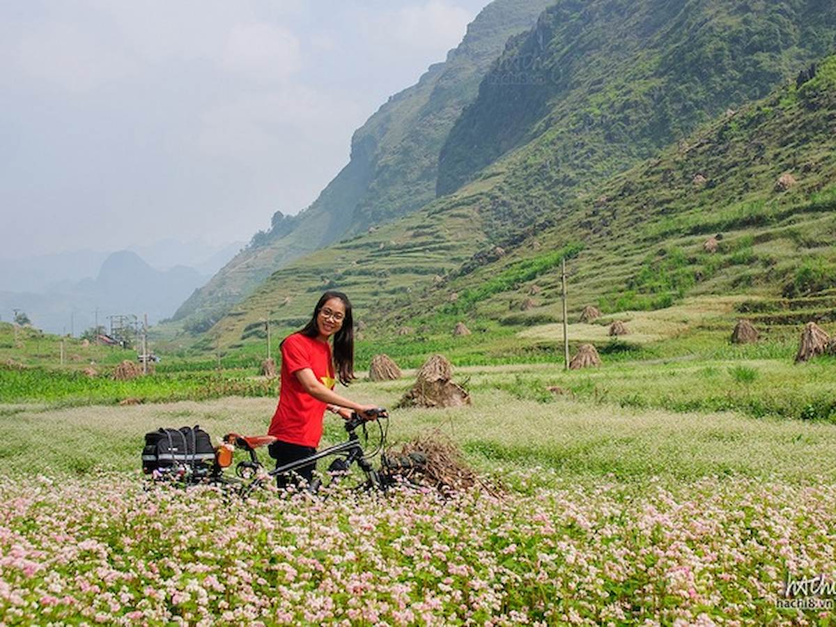 tour-du-lich-ha-giang-thang-8-ngam-hoa-tam-giac-mach-no-ro-phan-van-travel-1