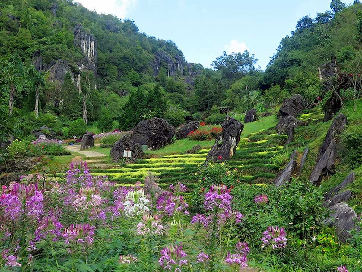 Núi Hàm Rồng, Sapa