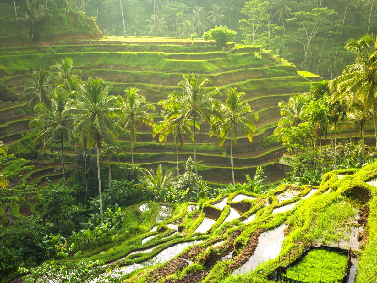 tour-du-lich-indonesia-bali-6n5d-tron-goi-khoi-hanh-tu-da-nang-phan-van-travel-1