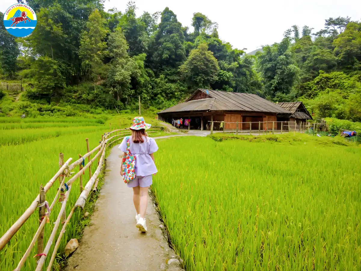 tour du lịch Sapa 4 ngày 3 đêm