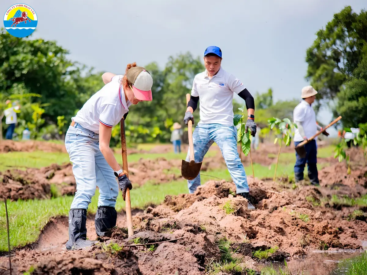 tour du lịch team building Đà Nẵng