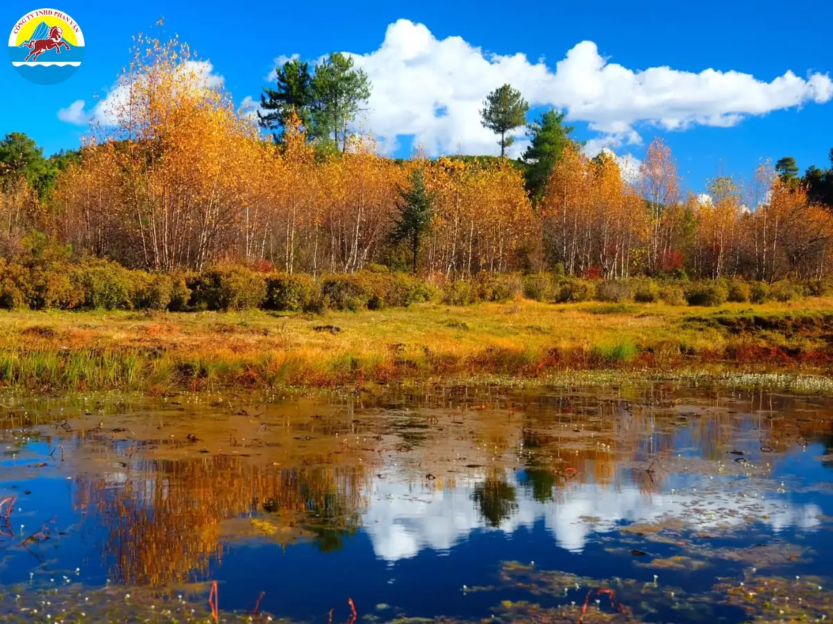 Tháng 10 là mùa thu vàng ở Shangri-La