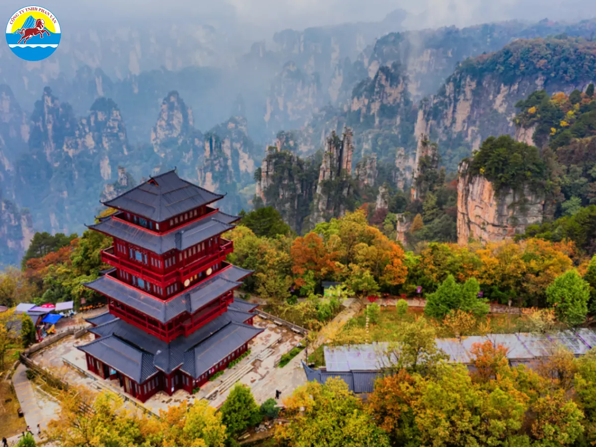 Trương Gia Giới vào tháng 11