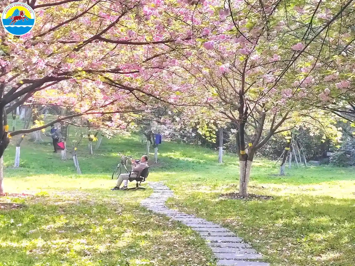 tour du lịch tử cấm thành trung quốc