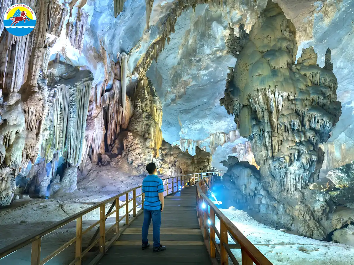 tour ghép Phong Nha Thiên Đường 1 ngày