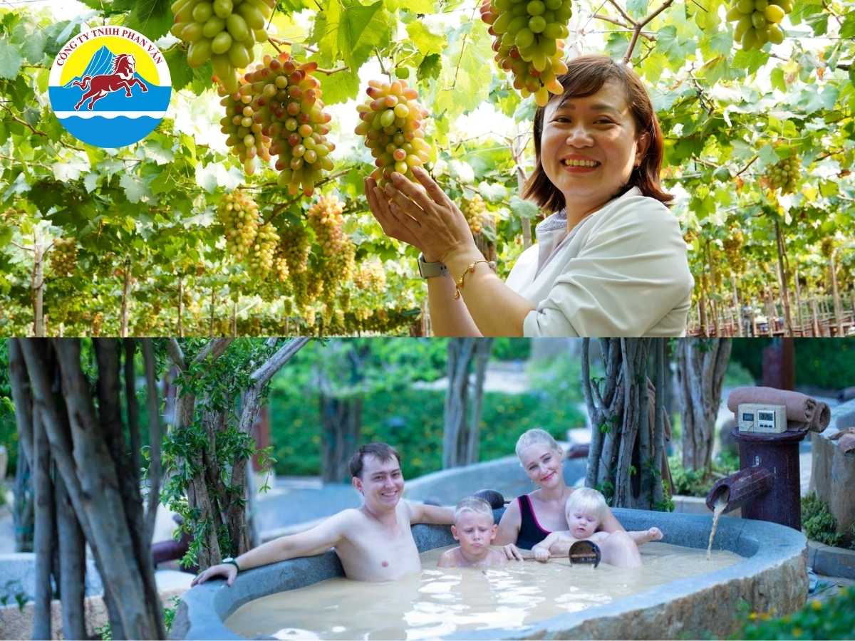 Tour kết hợp Vườn Nho - Tắm bùn khoáng nóng