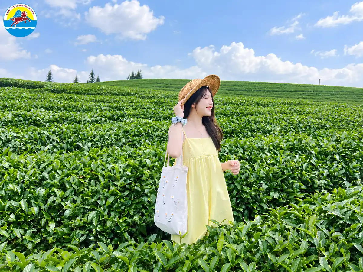 tour Mộc Châu 1 ngày