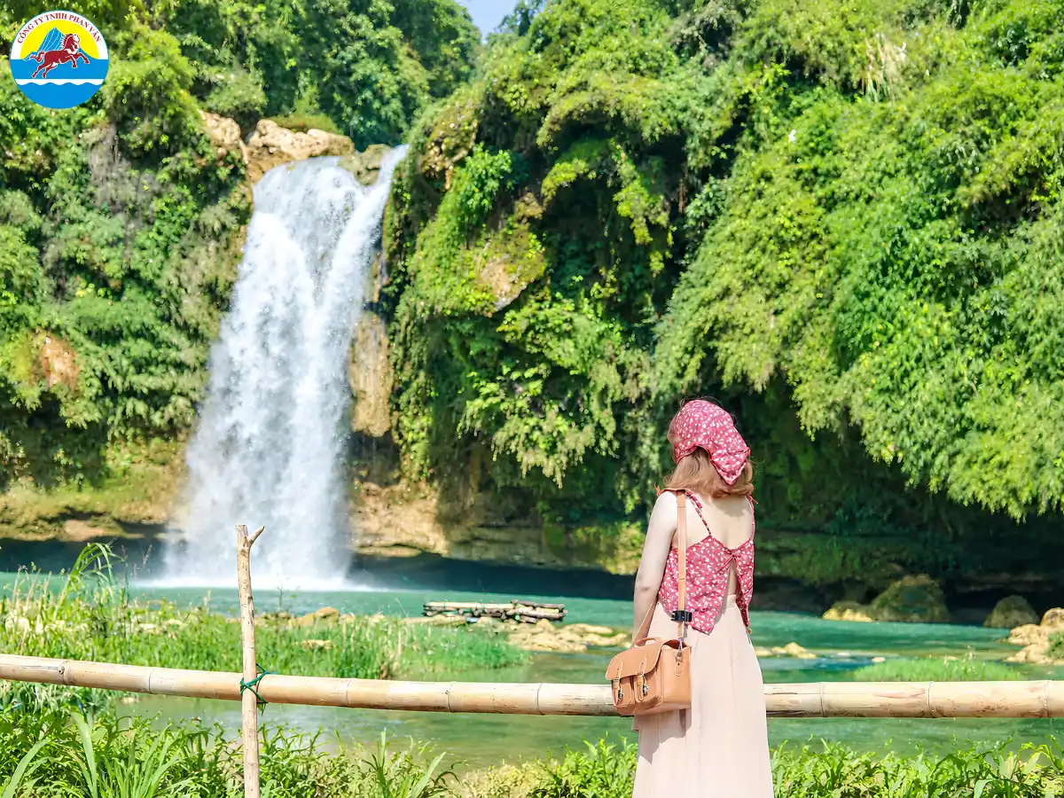 Giá tour Mộc Châu 1 ngày khoảng 490.000 VNĐ, 690.000 VNĐ hoặc 750.000 VNĐ/khách