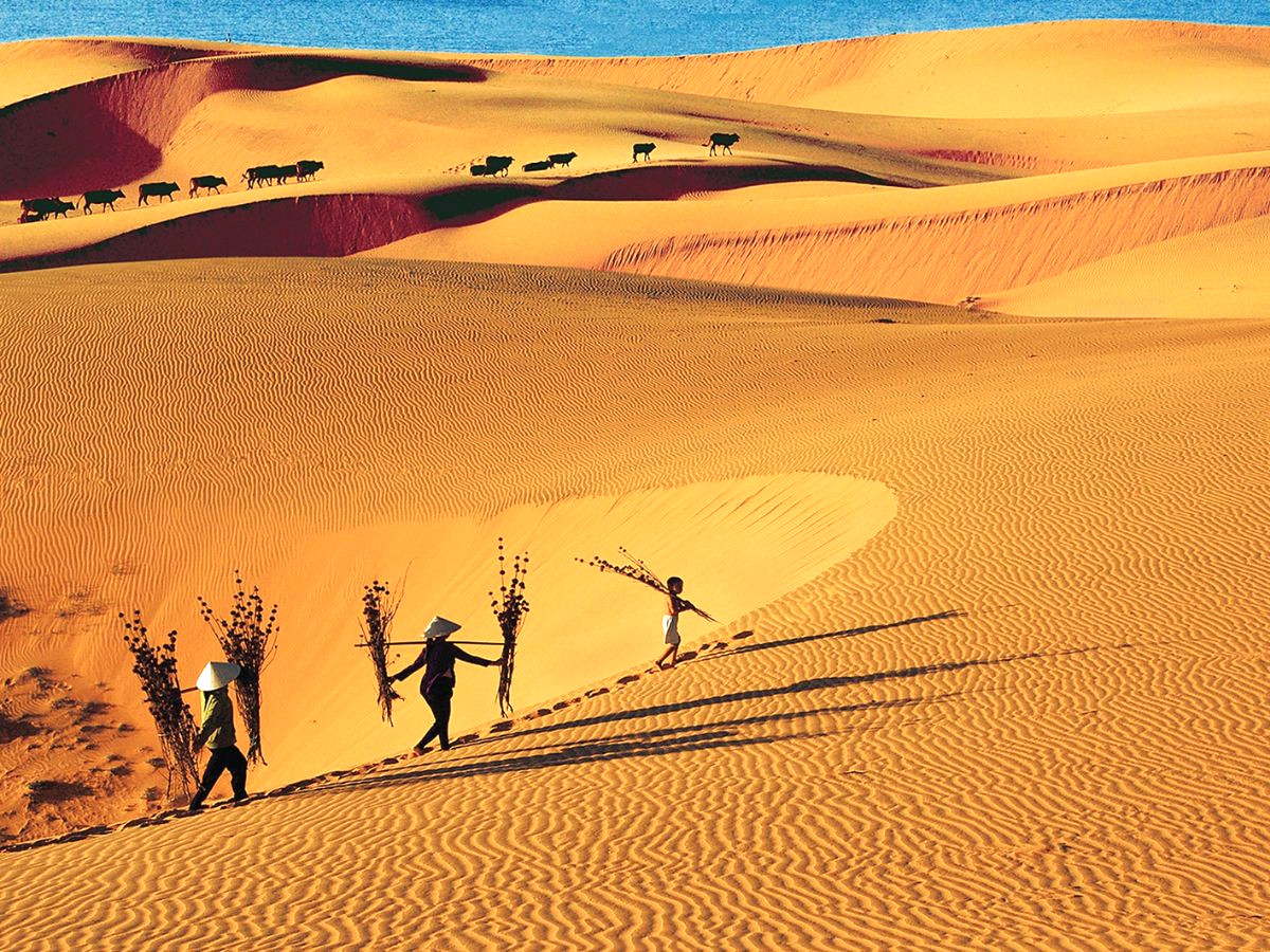 tour-mui-ne-3n2d-tu-da-nang-hanh-trinh-bien-xanh-cat-vang-phan-van-travel-1