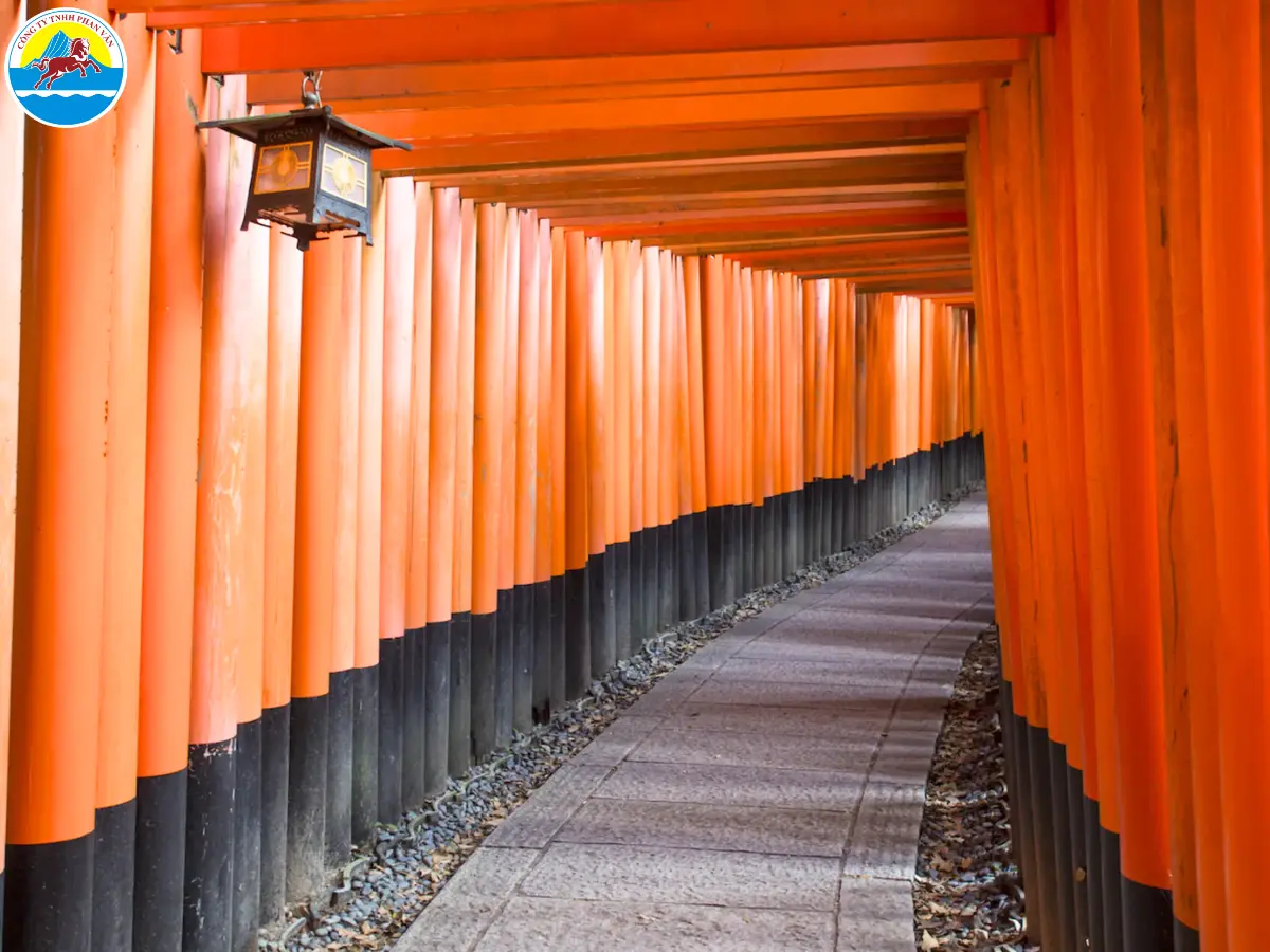 tour đi nhật bản 5 ngày 4 đêm​