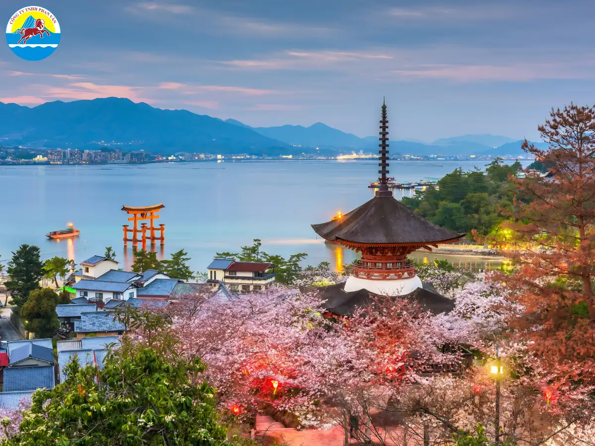 Gói 6 ngày 5 đêm là lựa chọn được đặt nhiều nhất tại Phan Văn Travel