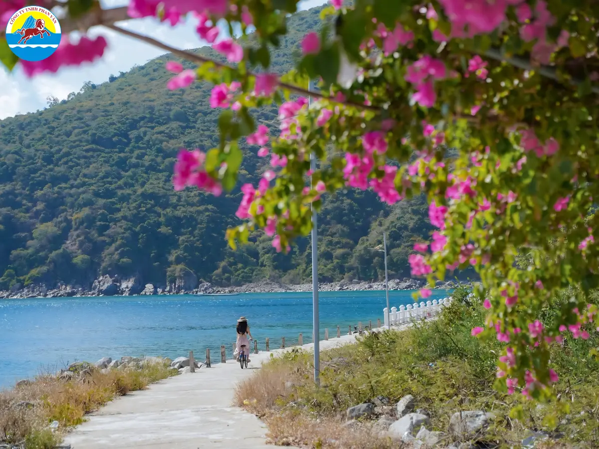 tour Phú Yên 3 ngày 2 đêm