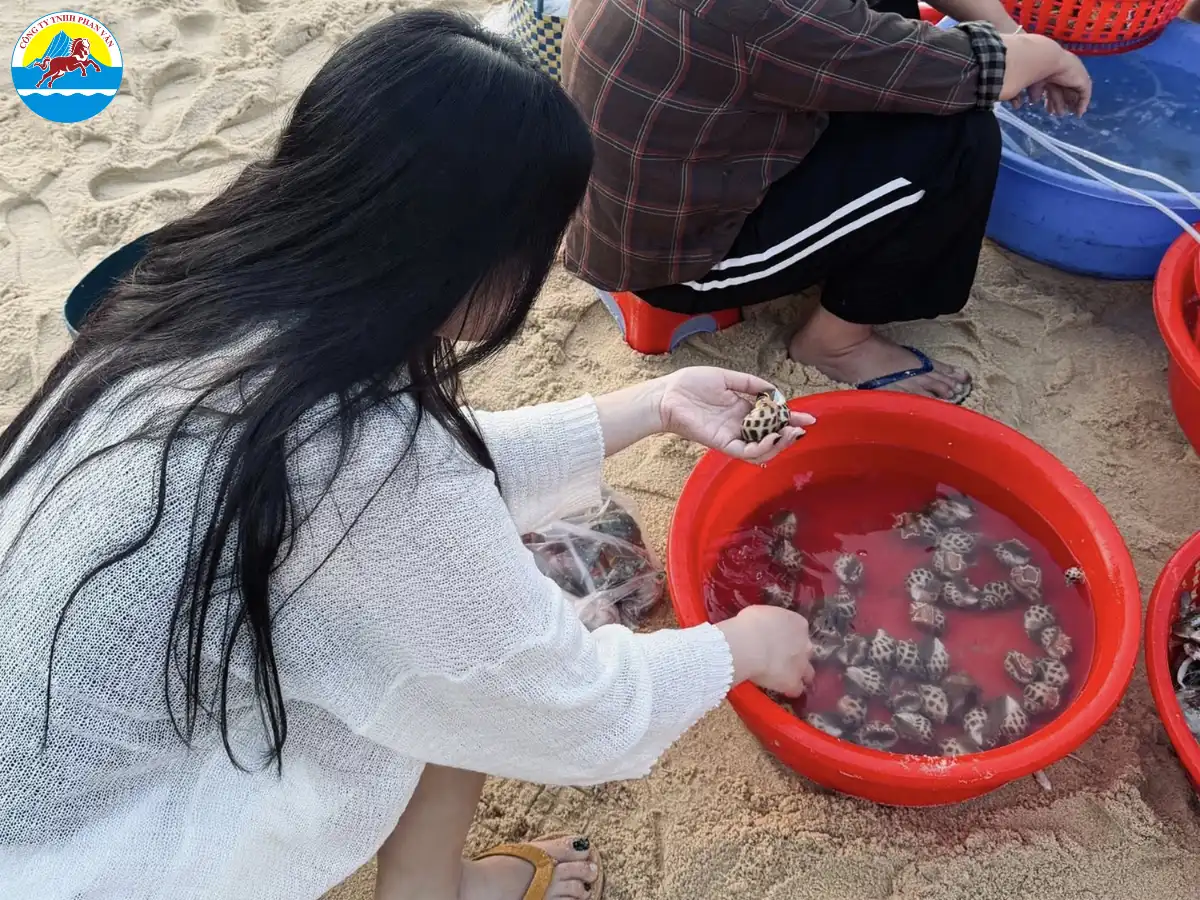 tour Phú Yên 3 ngày 2 đêm